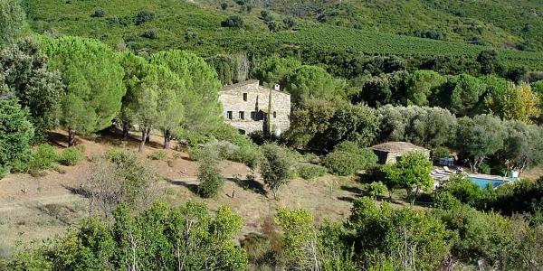 Domaine Brietta Saint Florent